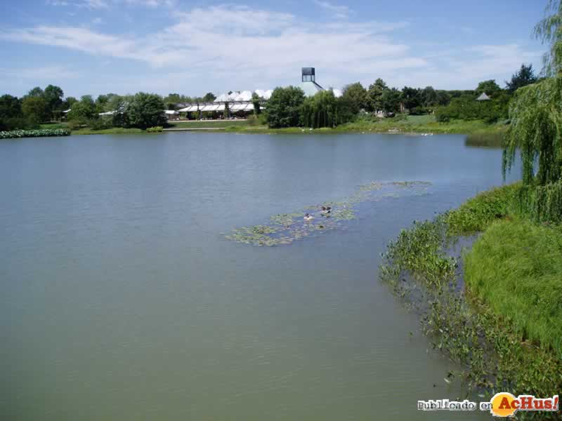 Chicago Botanic Garden 08