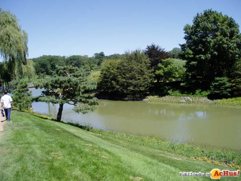 Chicago Botanic Garden 10