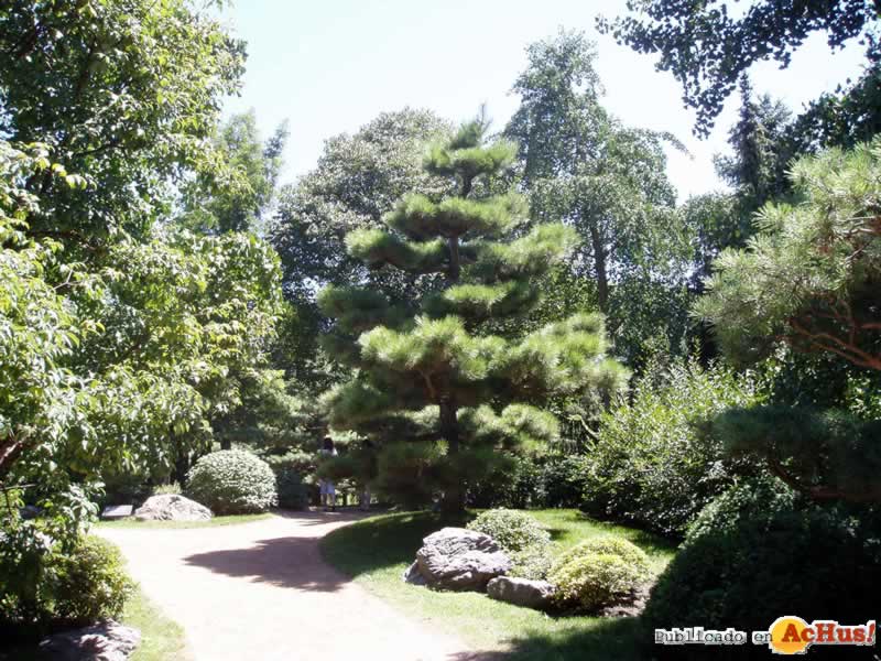 Chicago Botanic Garden 12