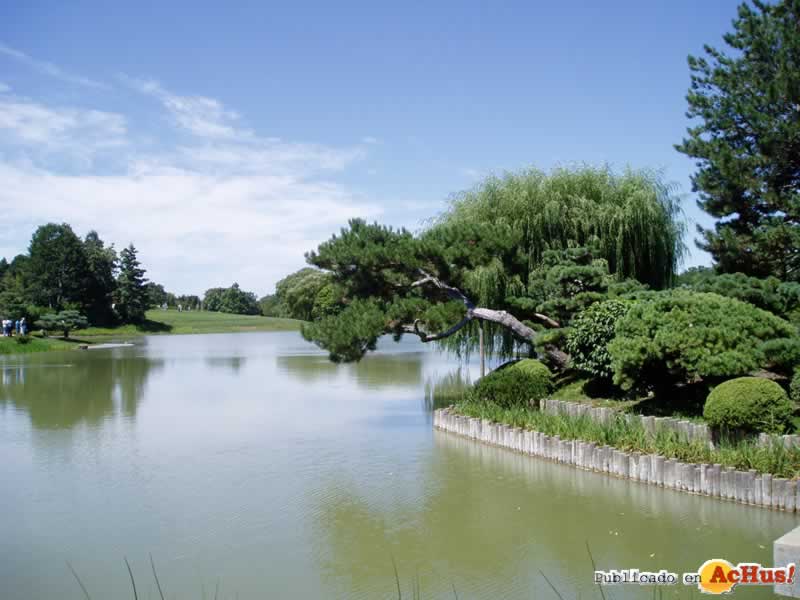 Chicago Botanic Garden 14