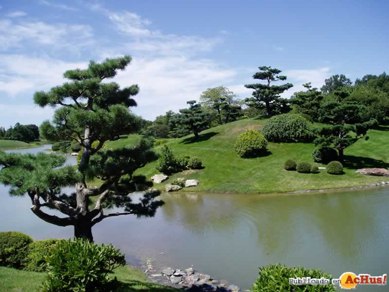 Chicago Botanic Garden 15