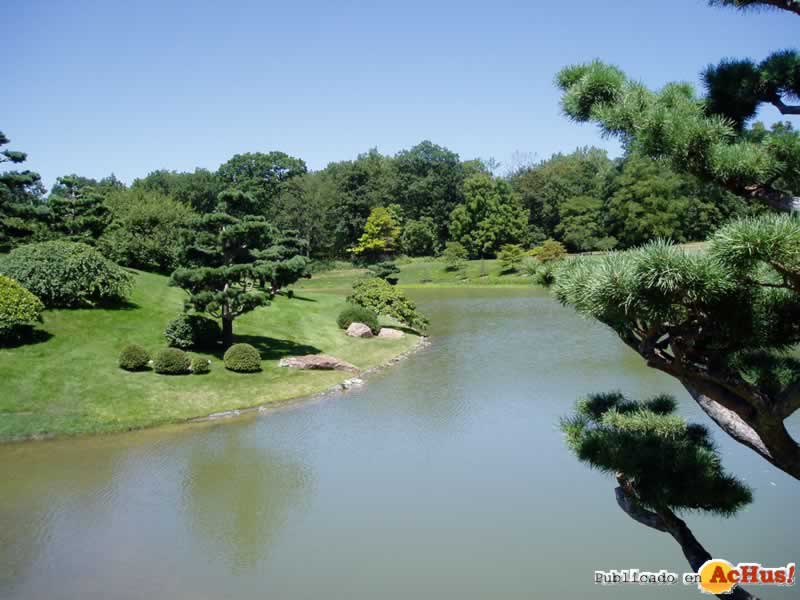 Chicago Botanic Garden 17