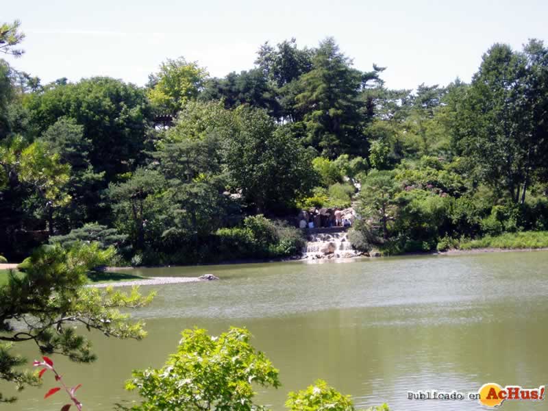 Chicago Botanic Garden 19