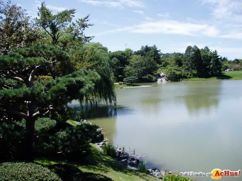 Chicago Botanic Garden 21