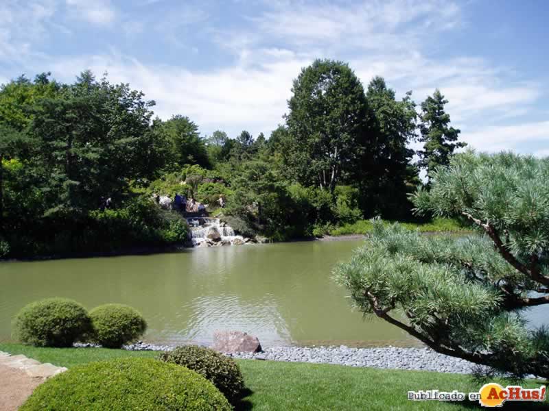 Chicago Botanic Garden 31