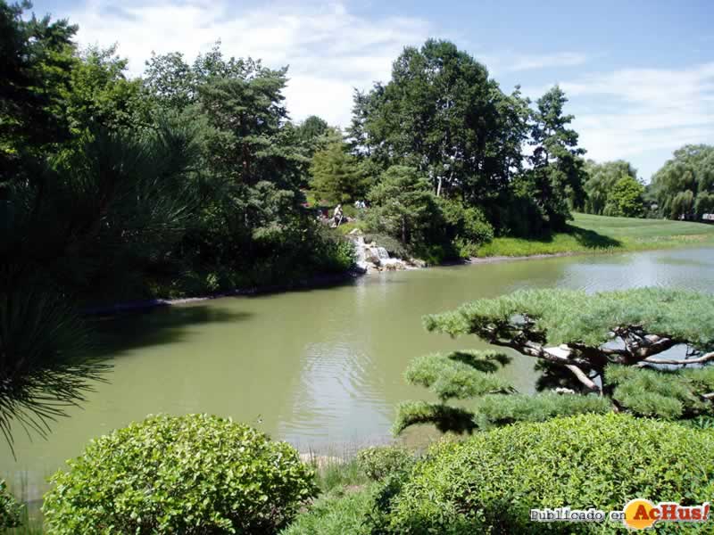 Chicago Botanic Garden 33