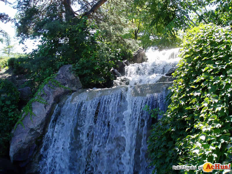 Chicago Botanic Garden 41