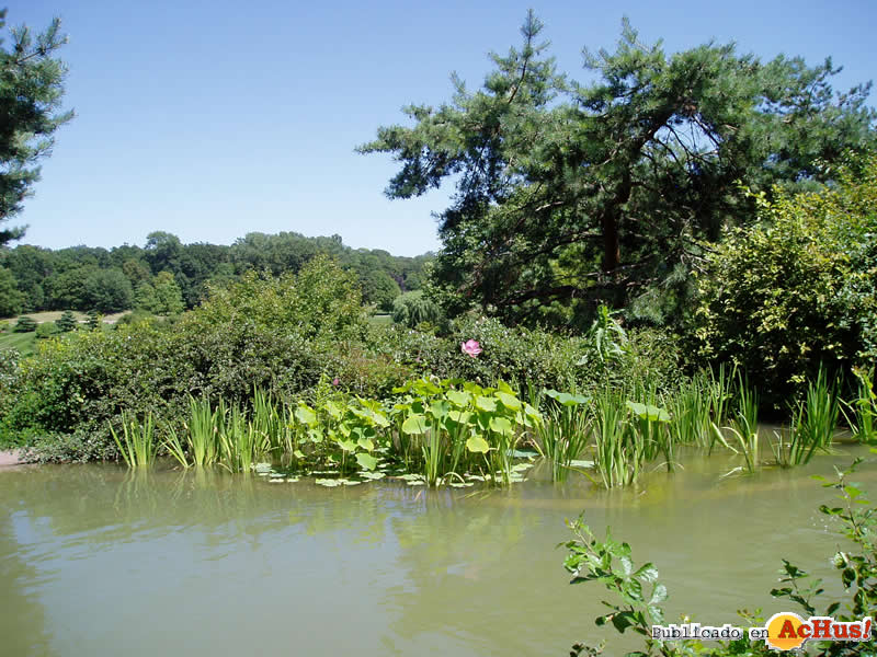 Chicago Botanic Garden 44