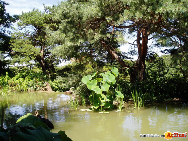 Chicago Botanic Garden 45