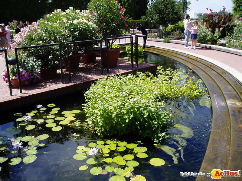 Chicago Botanic Garden 49