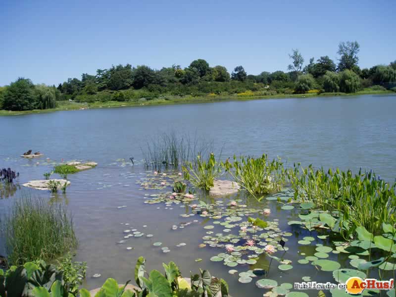 Chicago Botanic Garden 78