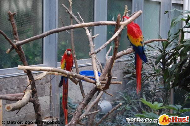 Detroit Zoo 03