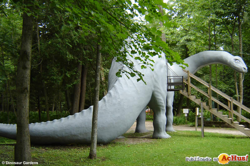 Dinosaur Gardens 01