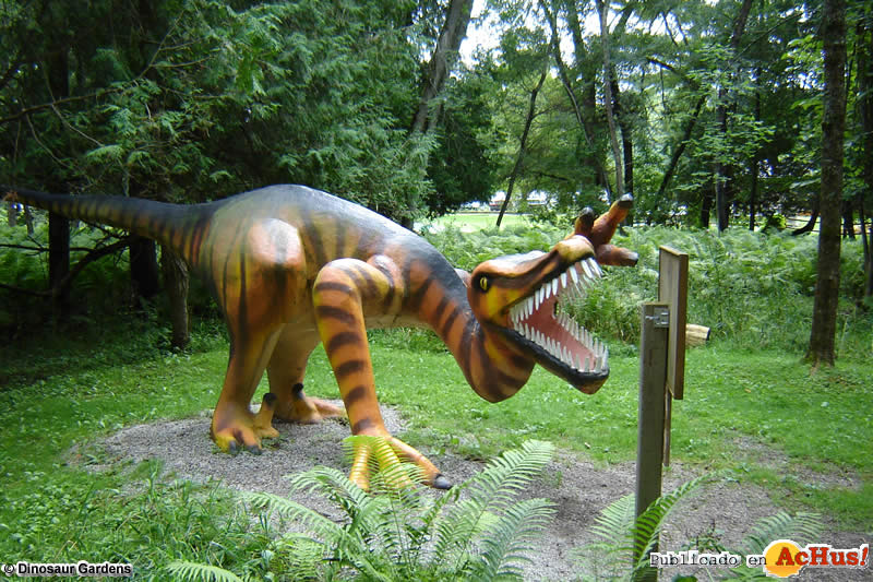 Dinosaur Gardens 03