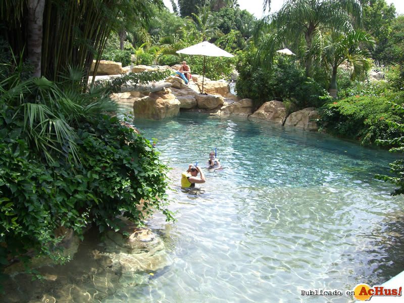 Tropical River 06