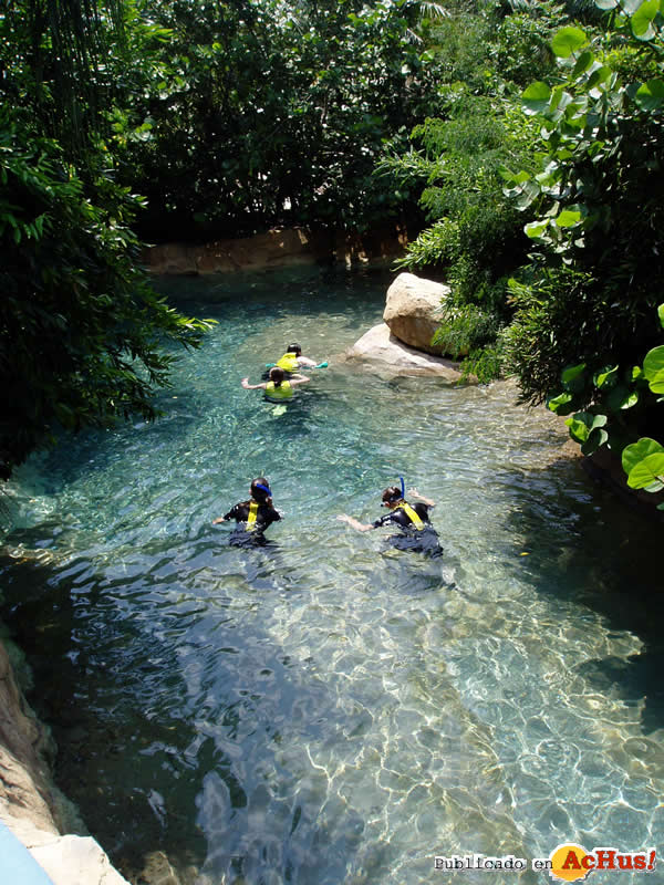 Tropical River 14