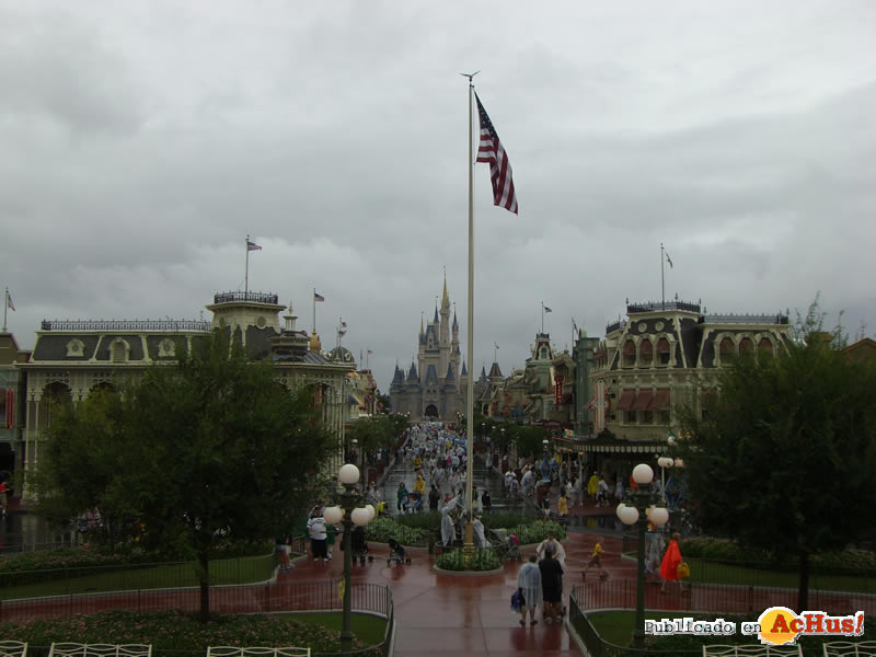 Magic Kingdom 14