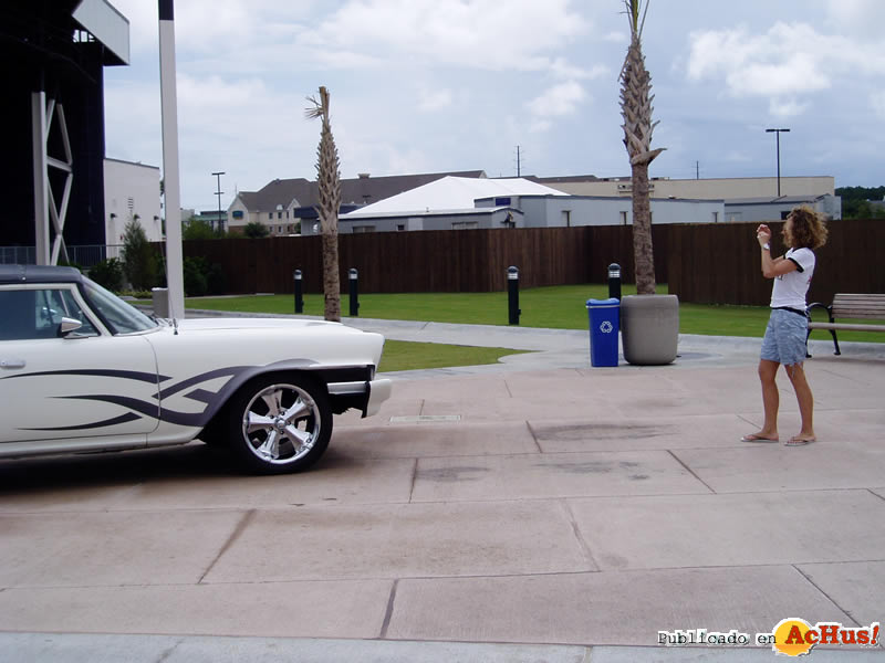 Hard Rock Park 117