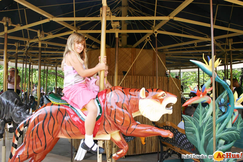 Carousel