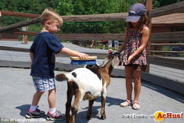 Lehigh Valley Zoo 06