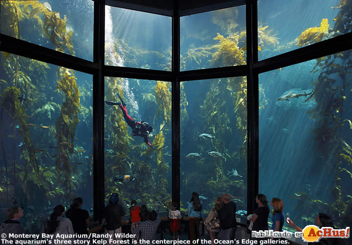 Monterey Bay Aquarium 01