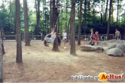 Old MacDonalds Petting Zoo 05