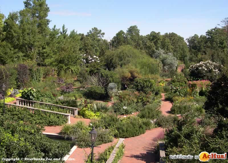 Garden overview