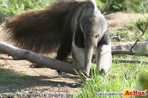 Sedgwick County Zoo 02