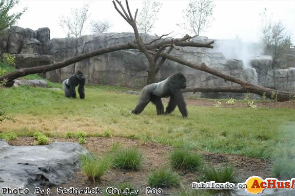 Sedgwick County Zoo 03