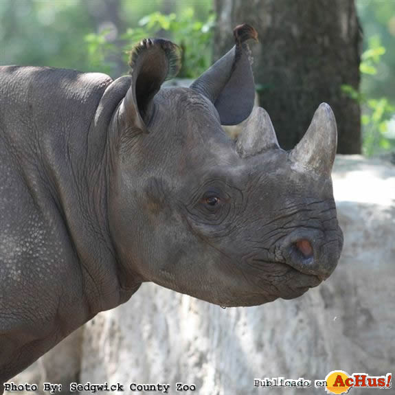 Sedgwick County Zoo 08