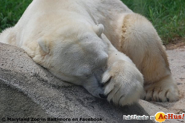 The Baltimore Zoo 06