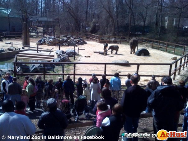 The Baltimore Zoo 09