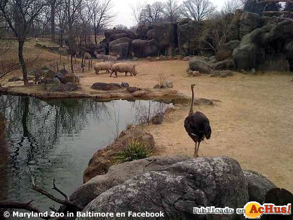 The Baltimore Zoo 10