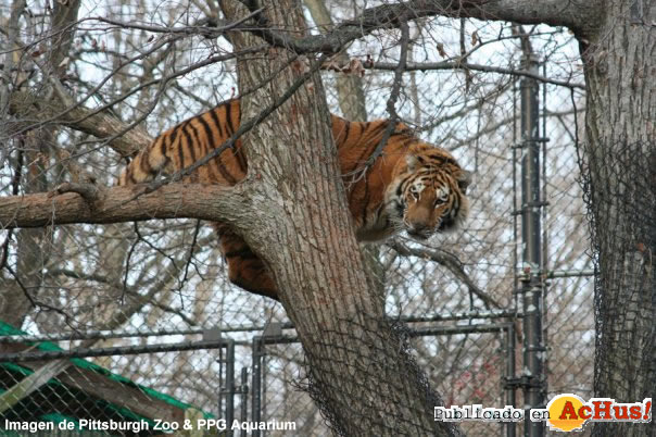 Pittsburgh Zoo 05