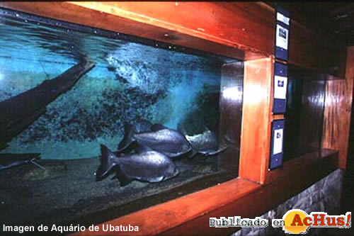 Aquario de Ubatuba 01