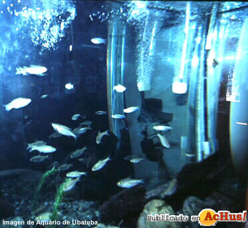 Aquario de Ubatuba 03
