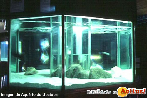 Aquario de Ubatuba 04