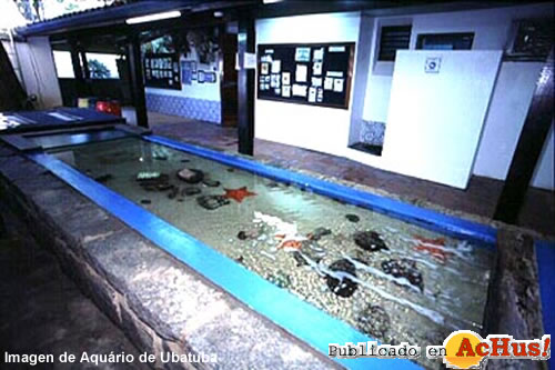 Aquario de Ubatuba 05