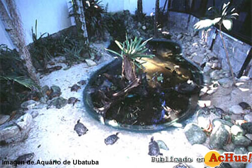 Aquario de Ubatuba 07