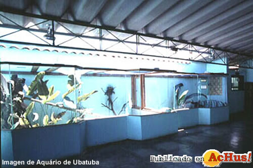 Aquario de Ubatuba 08