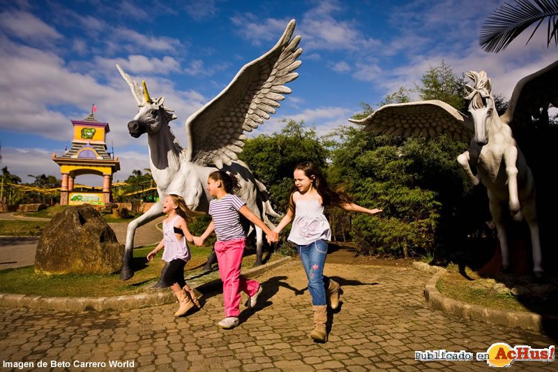 Beto Carrero World 03