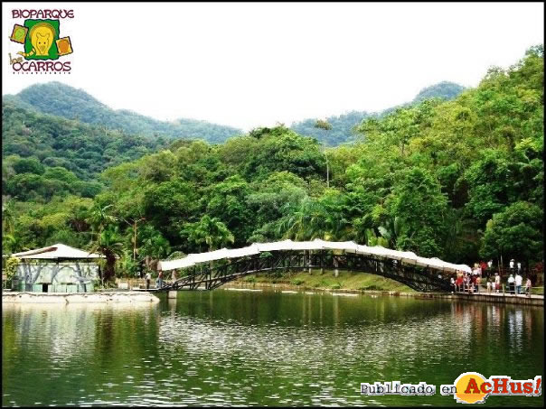 Puente hacia serpentario