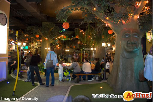 Divercity 01