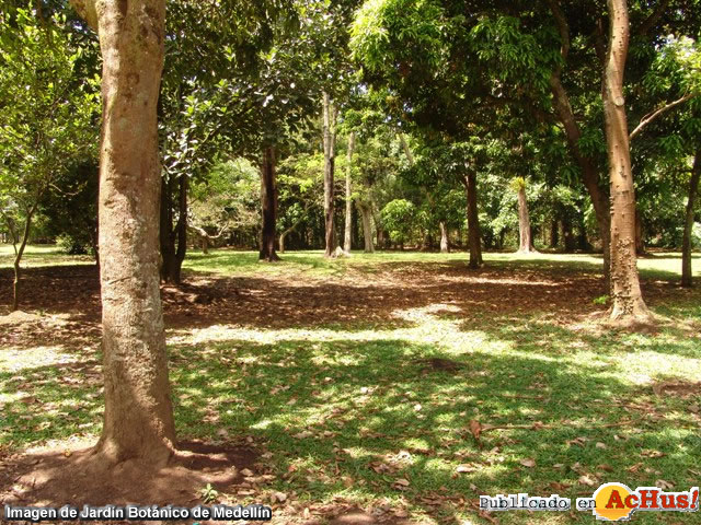 Jardin Botanico 1