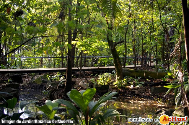 Jardin Botanico 5