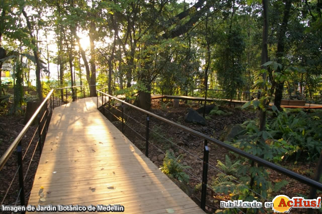 Jardin Botanico 6