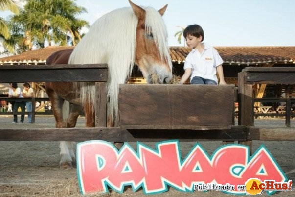 Panaca 05