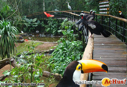 Parque das Aves 02