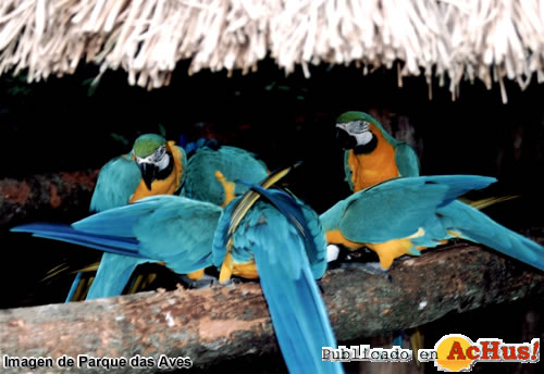 Parque das Aves 03
