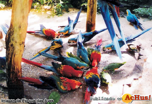 Parque das Aves 07